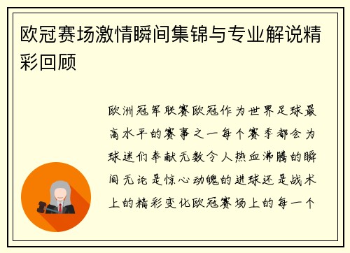 欧冠赛场激情瞬间集锦与专业解说精彩回顾